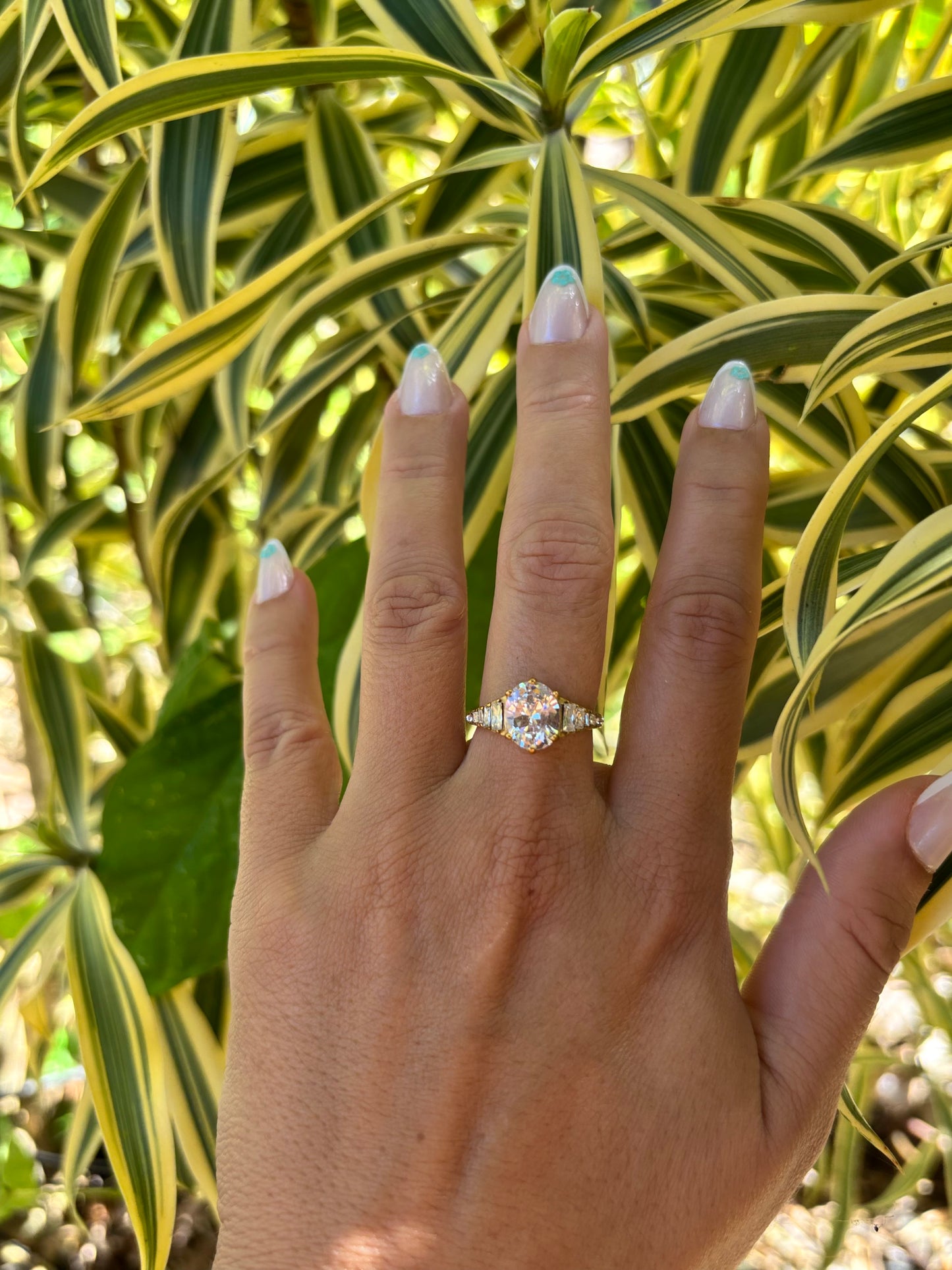 Abela Ring